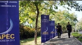 Promoting Vietnam’s role in APEC - ảnh 1